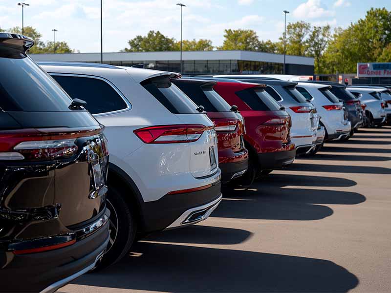 Car and van dealers - Dealers
Traders
Wholesalers business image